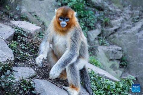 玉合公園怎麼樣，不妨細細品味這座園林之美。